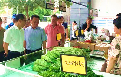 符鳴鼓勵農(nóng)戶積極參與菜籃子工程建設(shè)，實現(xiàn)增收