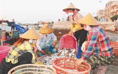 昌江：漁船捕撈作業(yè)滿載歸 漁獲交易忙